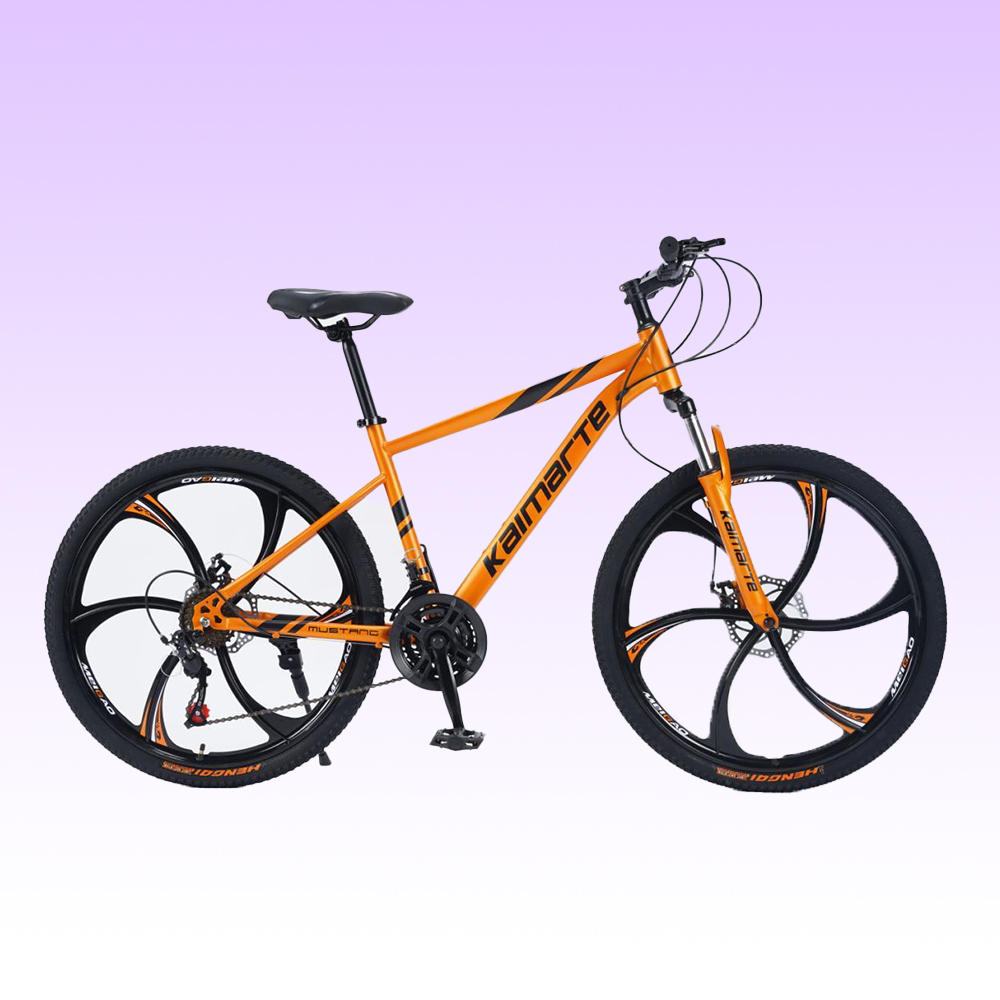 OEMカスタマイズ26/27.5/29インチディスクブレーキ - Mountain Biking Europe のレビューと価格